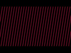 직물 접착제 / 젤리 접착제 / 산업용 젤라틴 접착제